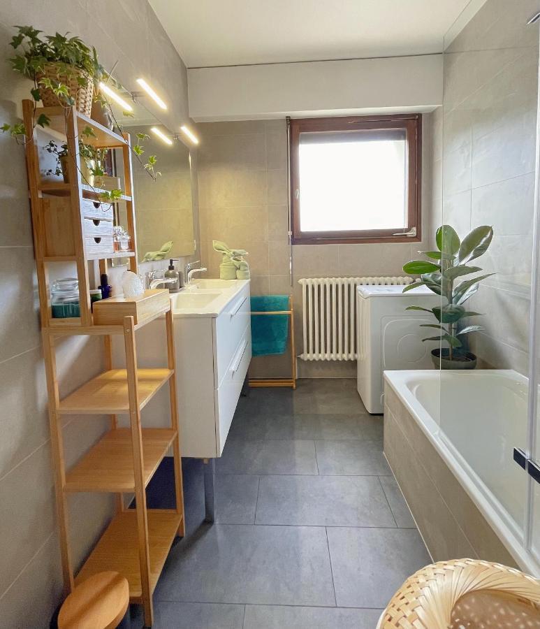 Appartement Tres Cosy A 5 Min Aeroport Geneve Ferney-Voltaire Ngoại thất bức ảnh