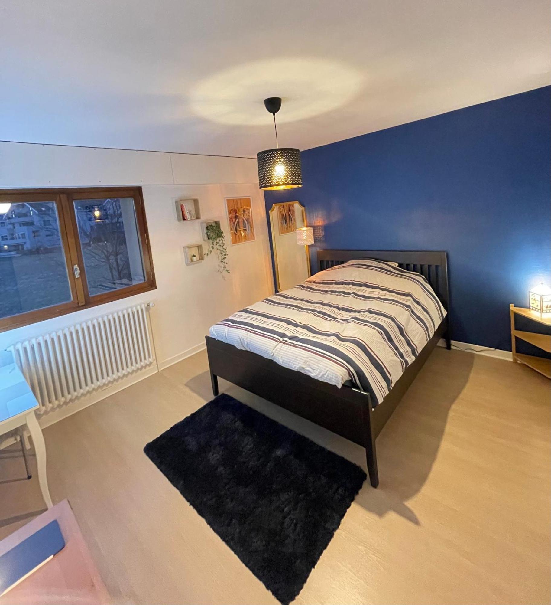 Appartement Tres Cosy A 5 Min Aeroport Geneve Ferney-Voltaire Ngoại thất bức ảnh