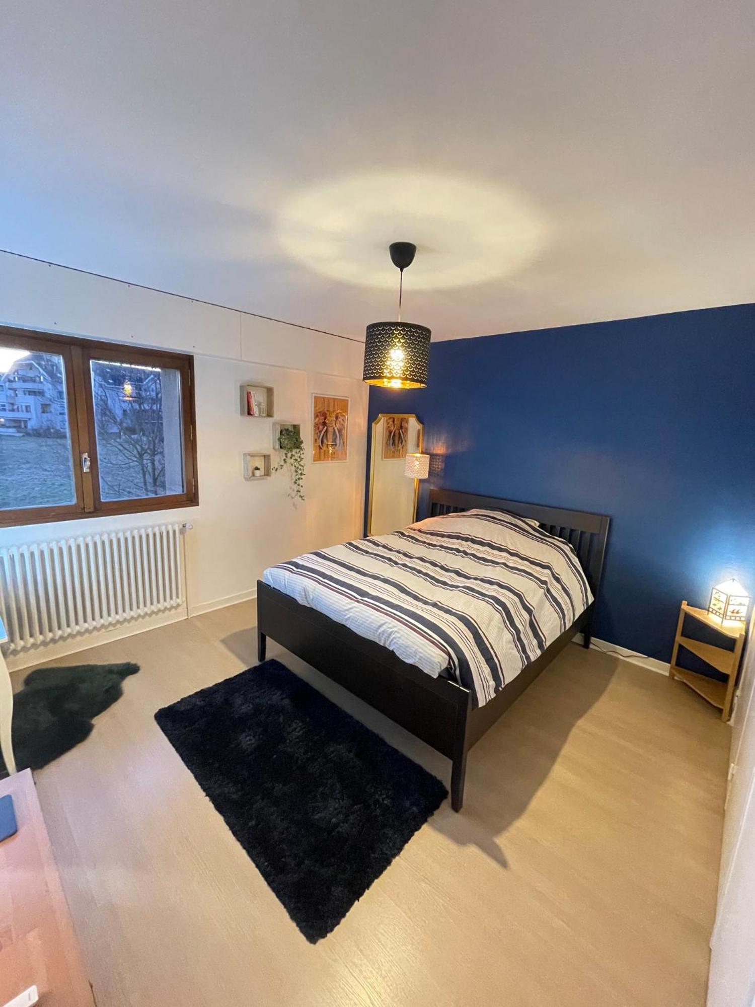 Appartement Tres Cosy A 5 Min Aeroport Geneve Ferney-Voltaire Ngoại thất bức ảnh